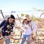 RD promoverá su clima de inversión y atractivos turísticos en Exposición universal de  Dubai