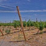 ADOMPRETUR agasaja a la prensa turística en su tradicional encuentro de año nuevo