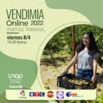 Turismo y diáspora dominicana entre los principales beneficiarios de la nueva línea de bajo costo ARAJET