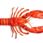 DATE 2022 en Punta Cana: 99% de los stands ya están reservados