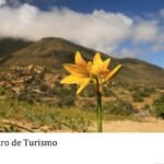 El Gobierno de México contribuye al desarrollo de los estados del sur-sureste del país