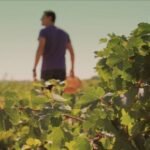 Machu Picchu se consolida como el impulsor de la recuperación turística de Perú