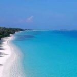 Miembros de Fipetur plantan árbol de la integración en Cap Cana, República Dominicana