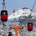 Segunda Edição do Dia Marfim Brasileiro será em Junho