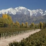 Ministro Collado le da salida al primer vuelo de Arajet a Puerto Rico